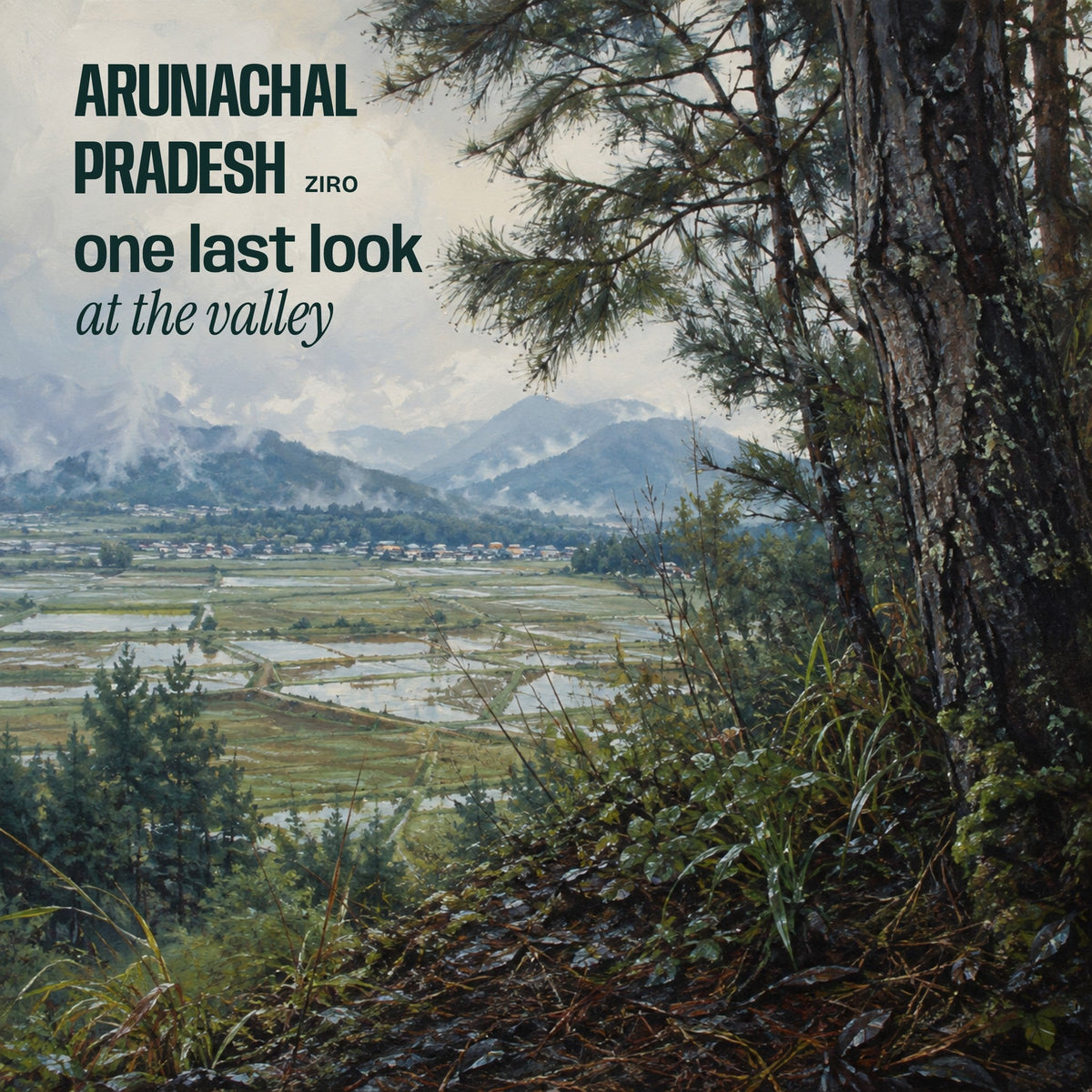 One Last Look, front cover